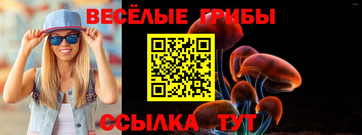 Псилоцибиновые грибы Cubensis  Вход с VPN  Галлюциногенные грибы Psilocybine cubensis  где найти   Выкса 